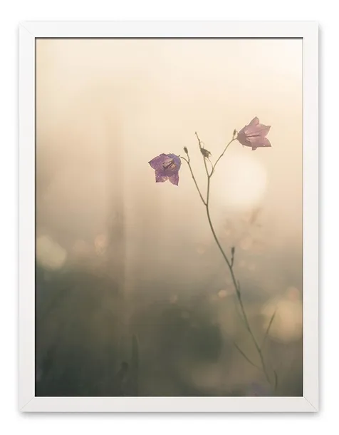 obraz-plakat-na-plotnie-33x43cm