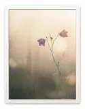 obraz-plakat-na-plotnie-33x43cm