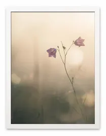obraz-plakat-na-plotnie-33x43cm