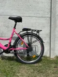rower-licorne-rozowy-liczba-biegow-21