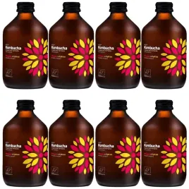 kombucha-vigo-bio-hibiskus-cytrus-8x-330ml