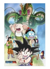 dragon-ball-shenron-i-bohaterowie-plakat-3d-58-x-38-cm