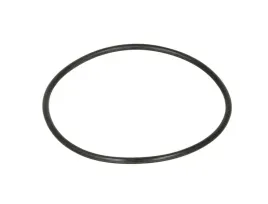 oring-skrzyni-biegow-zf-0734-313-010