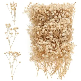 kwiaty-suszone-gypsophila-bezowe-100-szt-dekoracja-ramki-karty-diy