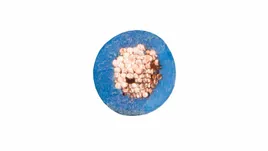 przewod-instalacyjny-h05v-k-lgy-15-niebieski-100m