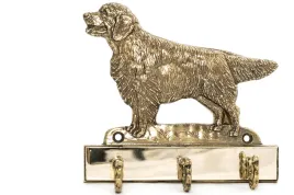golden-retriever-wieszak-na-klucze-z-psem-mosiezny-uchwyt-na-psie-akcesoria-elegancka-ozdoba-do-korytarza-marki-art-dog
