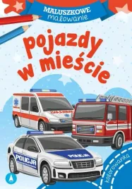maluszkowe-malowanie-pojazdy-w-miescie-skrzat