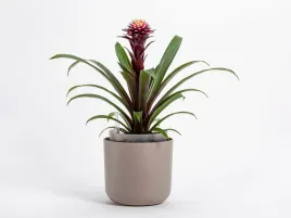 doniczka-samonawadniajaca-okragla-19-cm-jasnoszara-urbalive-tolita