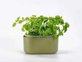 donica-samonawadniajaca-prostokatna-31x16-cm-zielona-urbalive-tolita