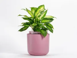 donica-samonawadniajaca-okragla-19-cm-rozowa-urbalive-tolita