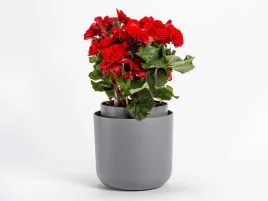 donica-samonawadniajaca-okragla-19-cm-szara-urbalive-tolita