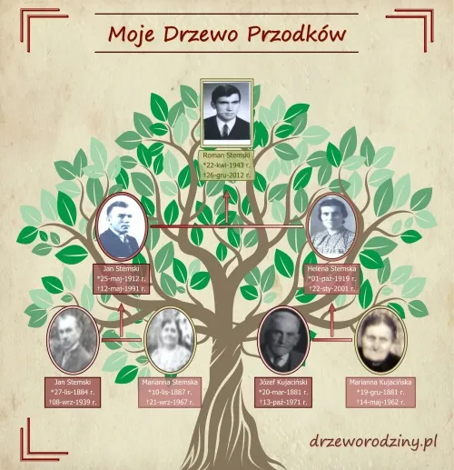 drzewo-rodziny-program-komputerowy-producent-pl-soft