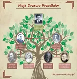 drzewo-rodziny-program-komputerowy-producent-pl-soft