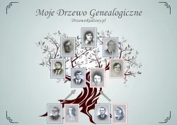drzewo-rodziny-program-komputerowy-wersja-jezykowa-polska