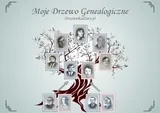 drzewo-rodziny-program-komputerowy-wersja-jezykowa-polska