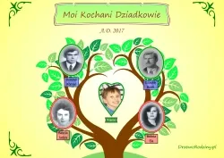drzewo-rodziny-program-komputerowy-okres-licencji-licencja-wieczysta