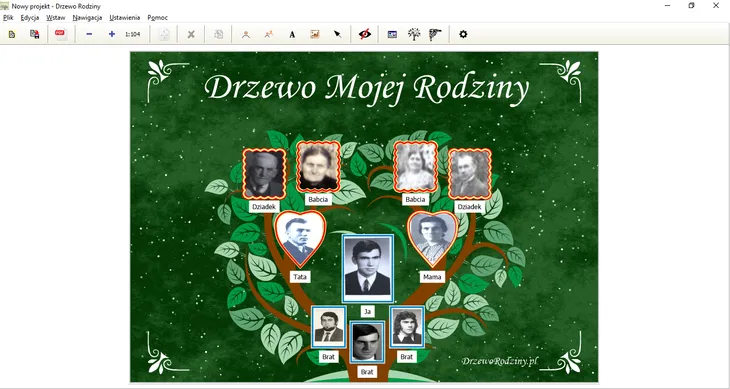 drzewo-rodziny-program-komputerowy-typ-licencji-domowa