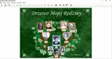 drzewo-rodziny-program-komputerowy-typ-licencji-domowa