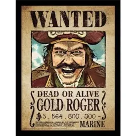 one-piece-netflix-gold-roger-kolekcjonerski-wydruk-30x40-cm