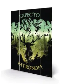 harry-potter-druk-na-drewnie-20x295-cm-expecto-patronum