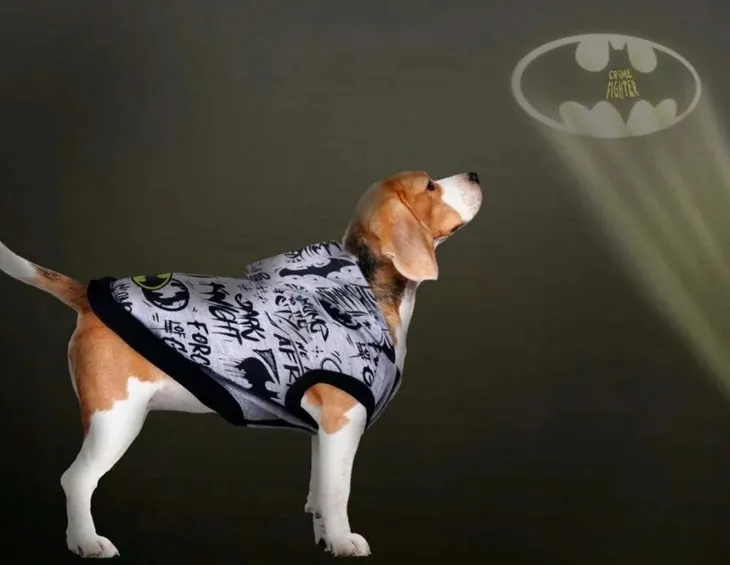 batman-bluza-dla-psa-xxs-stan-nowy