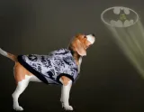 bluza-dla-psa-batman-m-dc-comics-stan-nowy