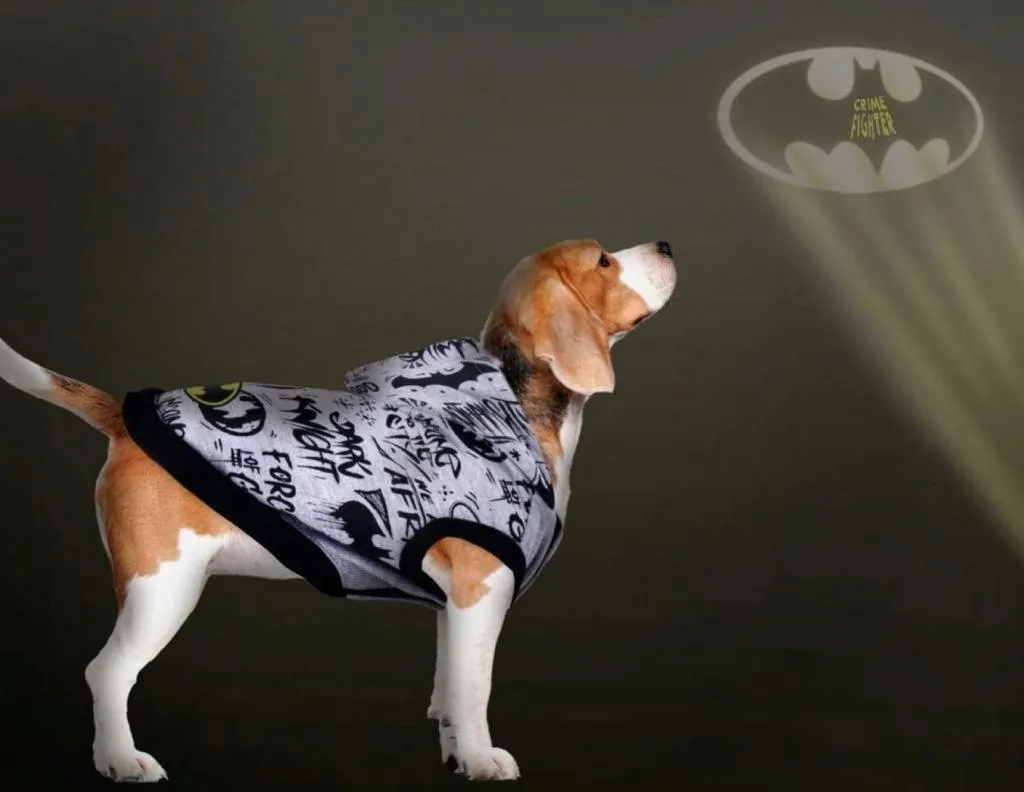 bluza-dla-psa-batman-m-dc-comics