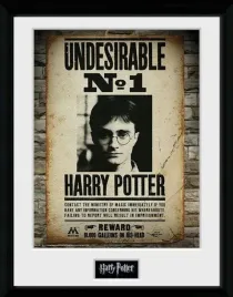 harry-potter-print-kolekcjonerski-30x40-niegodny-nr-1