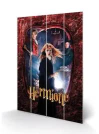 harry-potter-drewniany-plakat-40x59-cm-hermiona