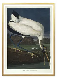 obraz-plakat-na-plotnie-53x73cm