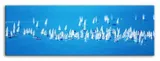 obraz-na-plotnie-sport-150x50cm