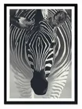 obraz-na-plotnie-zebra-53x73cm