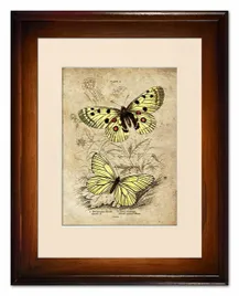 obraz-motyle-retro-37x47cm