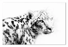 obraz-na-plotnie-pantera-60x90cm