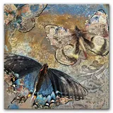 obraz-w-motyle-retro-60x60cm