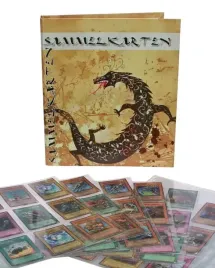 album-safe-na-karty-kolekcjonerskie
