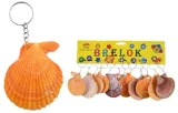 brelok-muszla