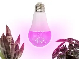 zarowka-led-do-uprawy-naswietlania-roslin-doniczkowych-kwiatow-11w-1200k