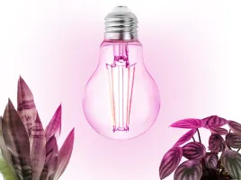 zarowka-led-do-uprawy-naswietlania-roslin-doniczkowych-kwiatow-8w-1200k