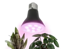 zarowka-led-do-uprawy-naswietlania-roslin-doniczkowych-kwiatow-7w-1200k-38