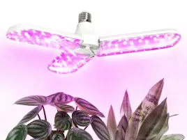 zarowka-led-do-uprawy-naswietlania-roslin-doniczkowych-kwiatow-24w-1200k
