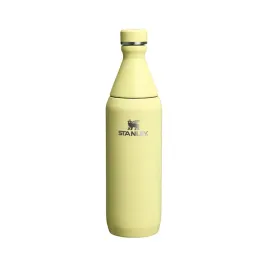 outlet-stanley-stanley-butelka-all-day-slim-0-6-l-pomelo-gloss