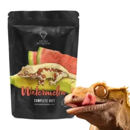 gecko-nutrition-watermelon-arbuz-50g-pokarm-papka-dla-gekona