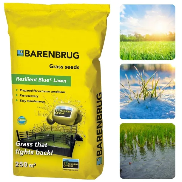 Trawa Barenbrug Resilient Blue Uniwersalna 5kg Trawnik Podsiew Regeneracja
