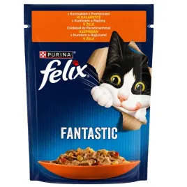 felix-fantastic-kurczak-pomidor-saszetka-85g