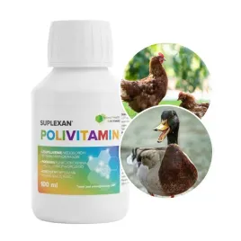 suplexan-polivitamin-100ml-witaminy-i-aminokwasy-dla-drobiu-intermag