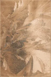 dywan-do-salonu-100percent-welna-bezowy-prostokatny-133x180cm-agnella