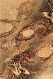 dywan-do-salonu-100percent-welna-brazowy-prostokatny-140x190cm-agnella