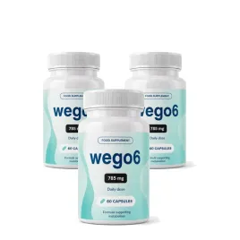 3x-wego6-3x60-szt