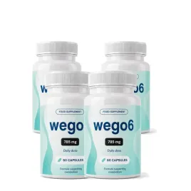 4x-wego6-4x60-szt